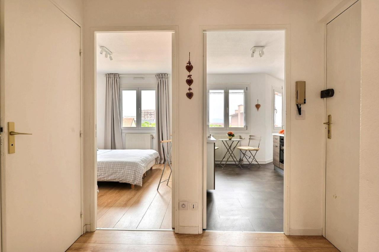 Le Petit Nid De Max Et Sophie 1Free Garage Apartment Colmar Bagian luar foto